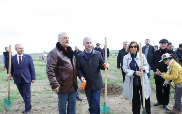 yap-rehberliyi-agac-ekdi