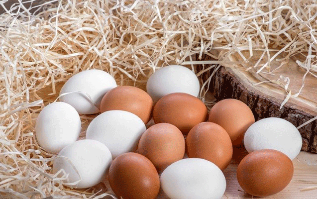 azerbaycanla-turkiye-rusiyaya-133-milyon-yumurta-gonderib