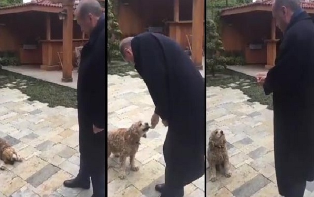 erdogan-besledi-kurekeni-goruntunu-paylasdi
