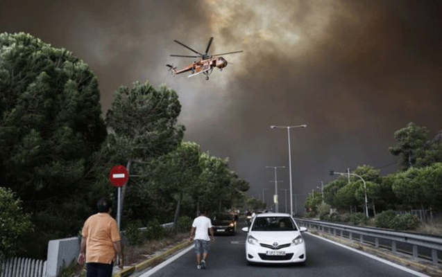 olenlerin-sayi-74-oldu