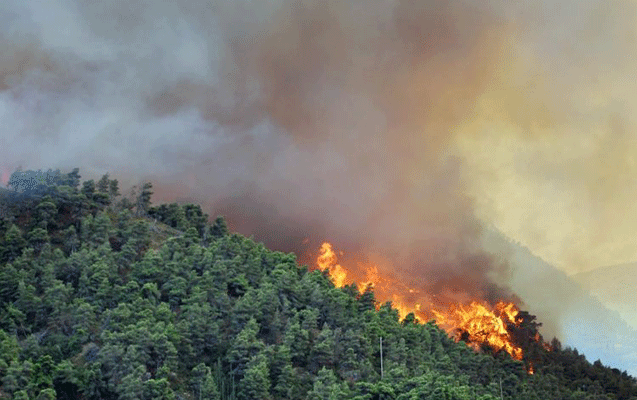 hirkan-milli-parkinda-yangin-baslayib