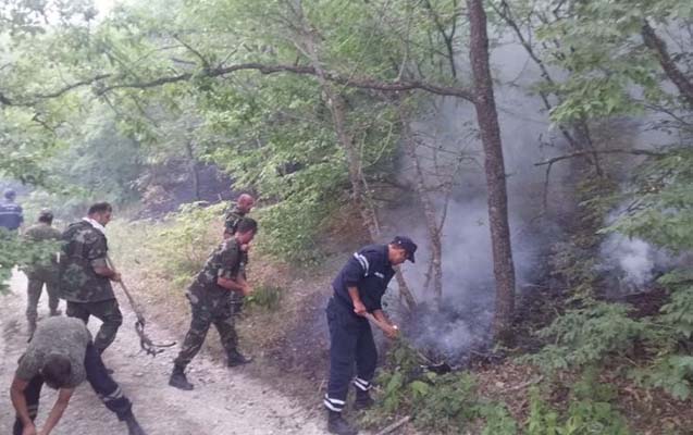 nazirlikden-simal-bolgesindeki-yanginla-bagli-aciqlama