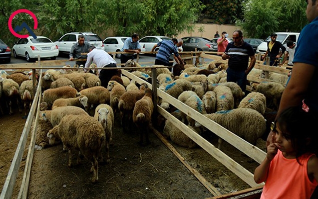 bayramin-ikinci-gununde-yarmarkalarda-veziyyet-necedir