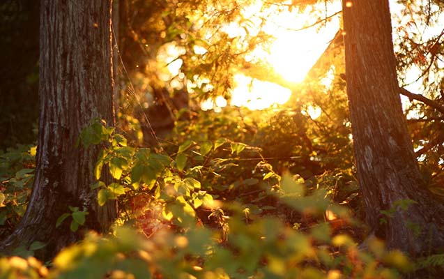 yaxin-2-3-gun-erzinde-hava-nece-olacaq