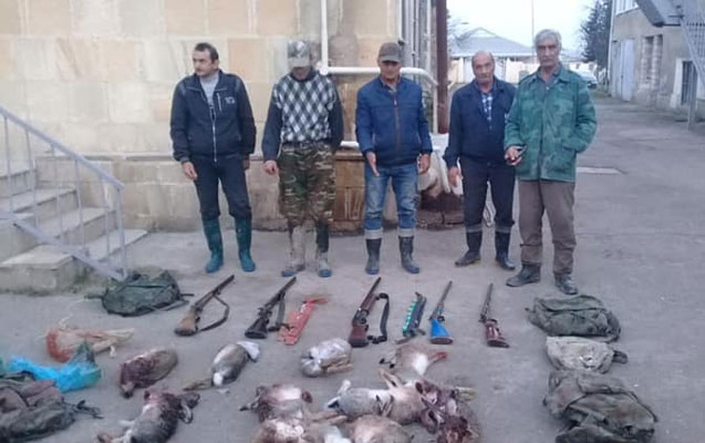 dovsana-gore-5-nefer-tutuldu