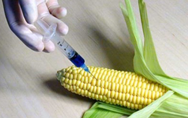 gmo-mehsullar-azerbaycan-bazarina-turkiye-ve-irandan-getirilir