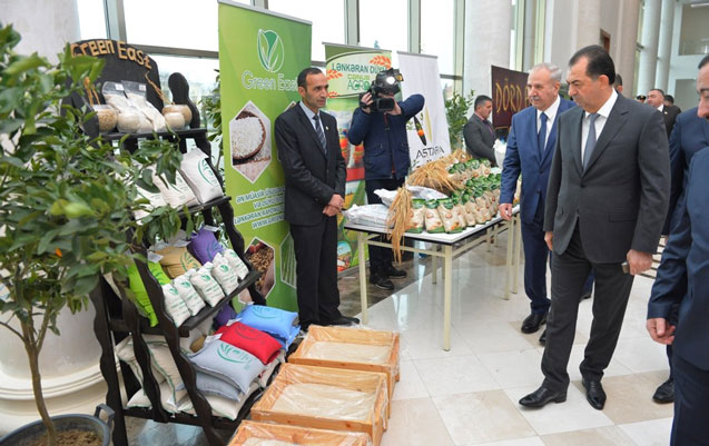 lenkeranda-genis-terkibli-iclas