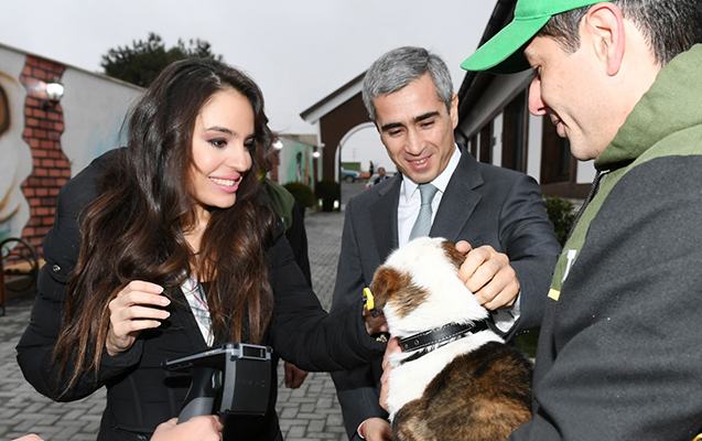 leyla-eliyeva-toplan-sahibsiz-itler-ucun-merkezin-acilisinda