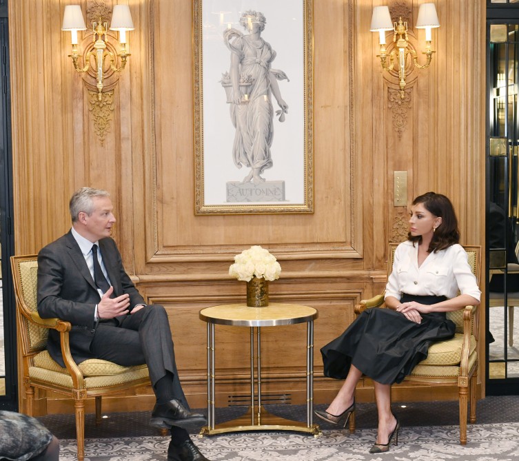 birinci-vitse-prezident-fransada-daha-bir-nazirle-gorusdu