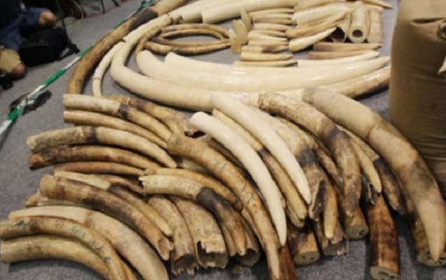 polis-91-ton-fil-disini-ele-kecirdi