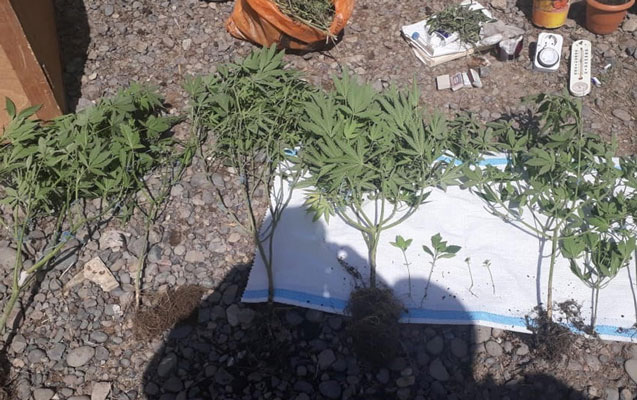 gencede-bir-gune-narkotike-gore-4-nefer-tutuldu