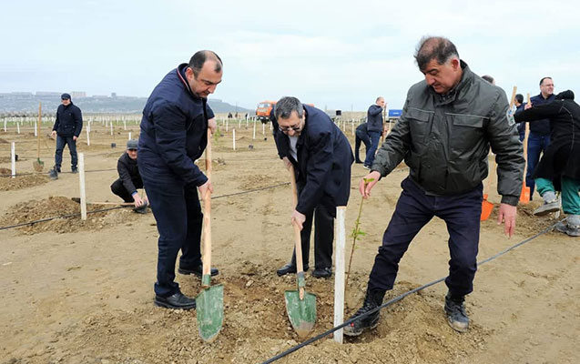 nazirler-kabinetinin-emekdaslari-agac-ekdiler