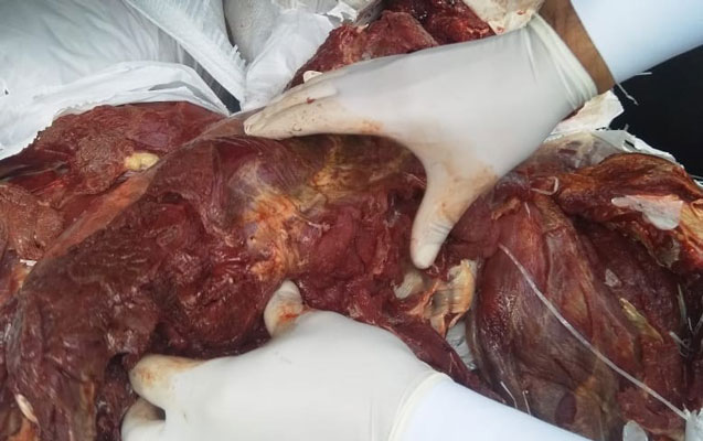 188-kilo-yararsiz-et-askarlandi