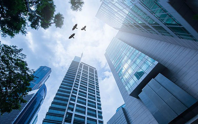 goydelenler-600-milyon-qusu-oldurub