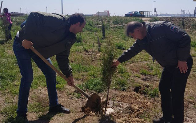 jurnalistlerin-binasi-qarsisinda-300-agac-ekilib