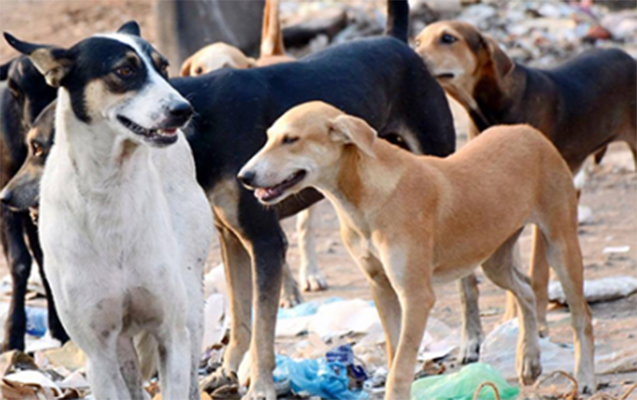 nazirlik-ehaliye-xeberdarliq-etdi