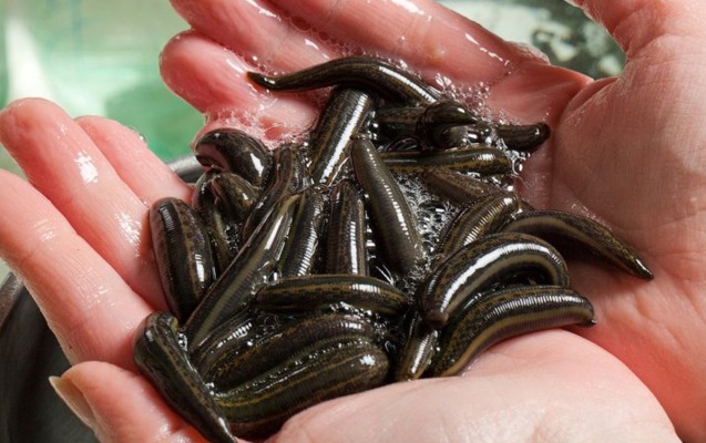 hava-limanindan-5-mine-yaxin-zeli-kecirmek-istedi-tutuldu