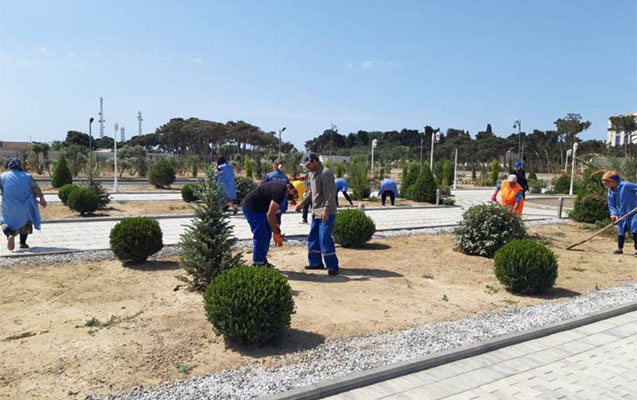 bakida-imecilik-kecirilir