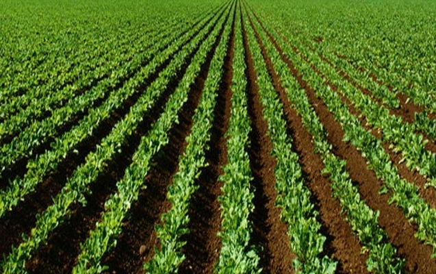 pay-torpaqlarinin-idare-olunmasi-ucun