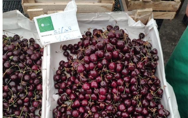 iyunda-gilasin-qiymeti-hemise-bele-olub