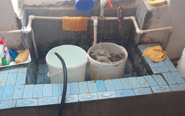 anti-sanitar-seraitde-isleyen-dondurma-sexi-baglandi