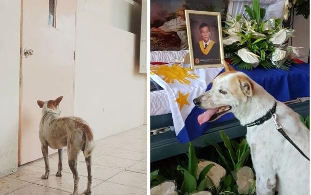 defne-qeder-2-hefte-dostunun-yolunu-gozledi