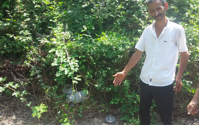 ceteneni-cay-kenarinda-ekdi