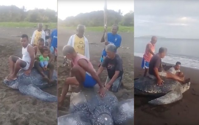 novbe-ile-tisbaganin-beline-minib-eylendiler