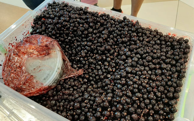 azerbaycana-kulli-miqdarda-kuru-kecirmek-istedi