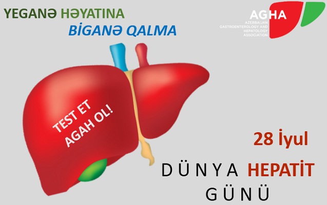 28-iyul-umumdunya-hepatitle-mubarize-gunudur