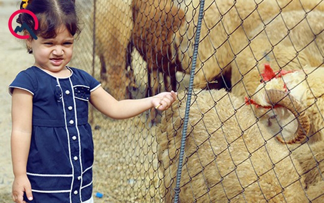 bayramda-qurban-kesenlerin-nezerine