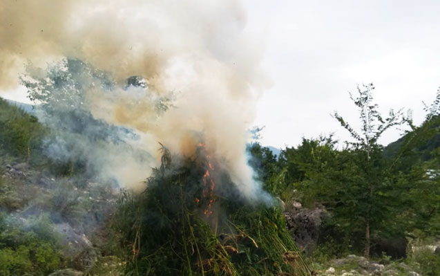 1-tona-yaxin-narkotik-yandirildi