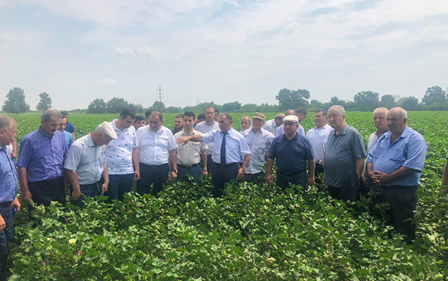 ucarda-tarla-seminari-kecirilib