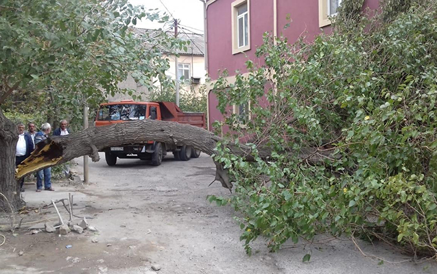 dunen-bezi-yerlerde-kuleye-gore-isiq-olmayib