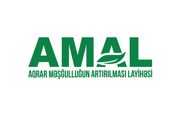 amal-akademiyasinin-yay-mektebine-qeydiyyat-baslayir