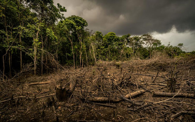 amazonu-sondurmek-ucun-44-min-esger-ayrildi
