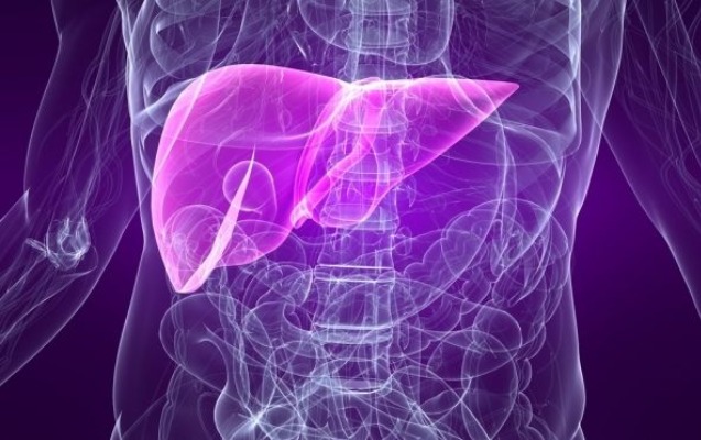 agciyer-xercenginin-3-gizli-elameti-bunlardir