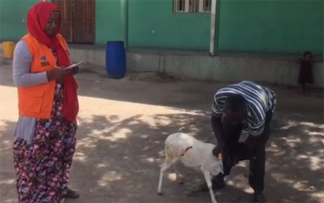 Xuraman 4-cü uşağı üçün Afrikada qurban kəsdirdi - Video