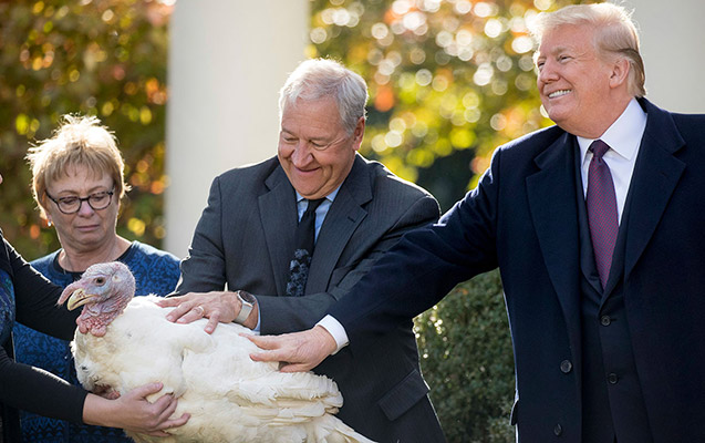 trampin-bagislayacagi-hind-quslarinin-adlari-aciqlandi