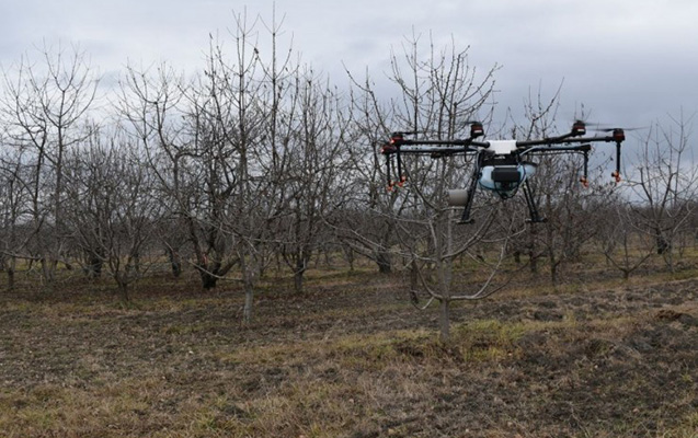 alimler-fermerlerin-yaninda-layihesinin-icrasina-baslanildi