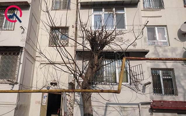 nene-her-gun-usaqlari-heyetde-gezdirirmis