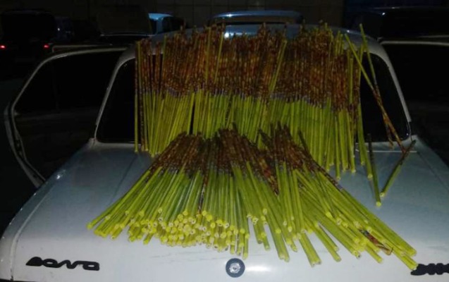 qirmizi-korpude-fisenge-gore-tutuldu