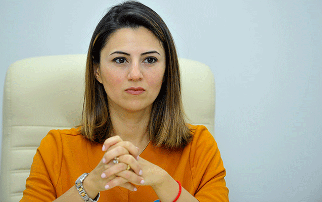 bir-qrup-sehid-ailesi-sevinc-feteliyevani-destekledi