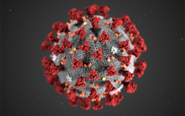 koronavirusun-8-stammi-tehlil-edildi