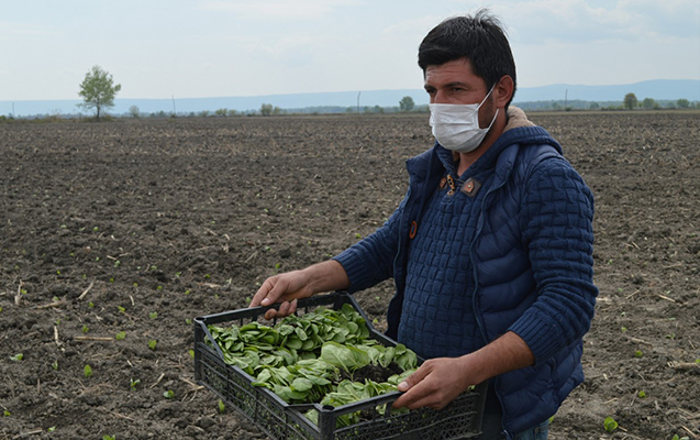 balakende-kend-teserrufati-isleri-genis-vuset-alib