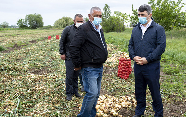 inam-kerimov-berde-ve-terterde-ekin-sahelerine-baxis-kecirib