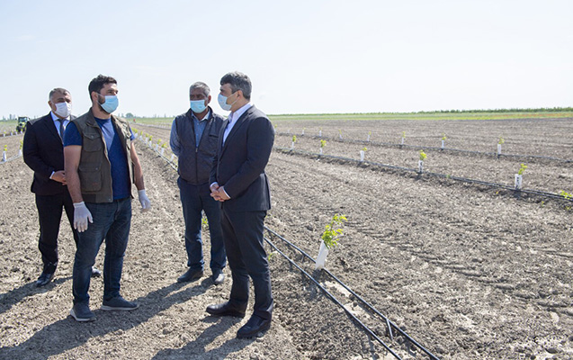 nazir-xacmaz-ve-qubada-ekin-sahelerine-baxis-kecirib