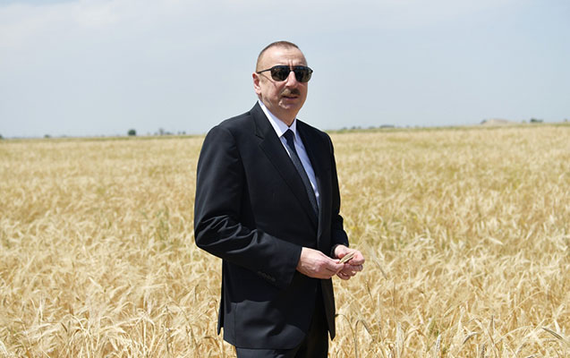 kecen-il-rekord-seviyyede-mehsuldarligi-temin-etmisik