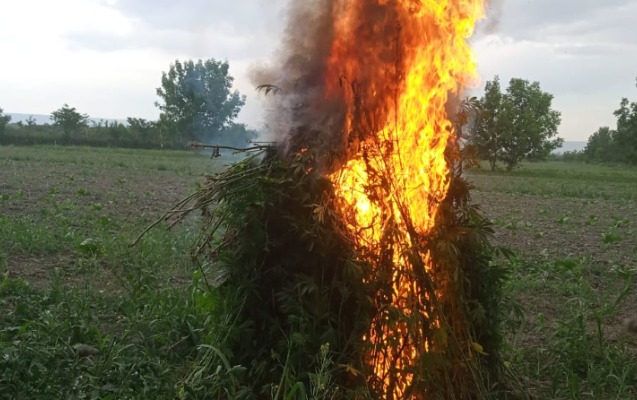 1-tondan-cox-narkotik-mehv-edildi