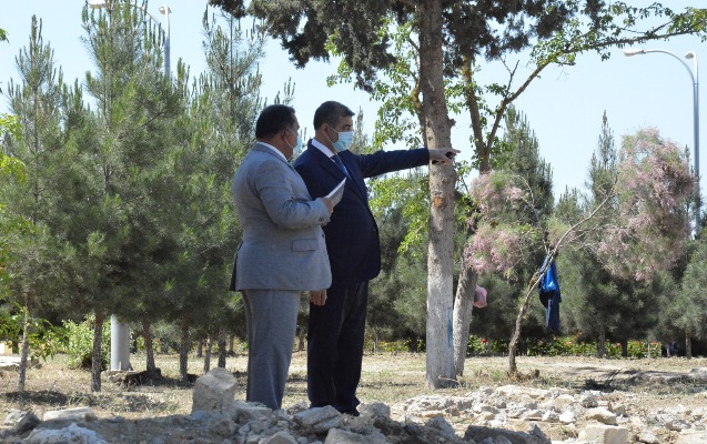 sirvan-seher-parkinda-esasli-temir-isleri-davam-etdirilir